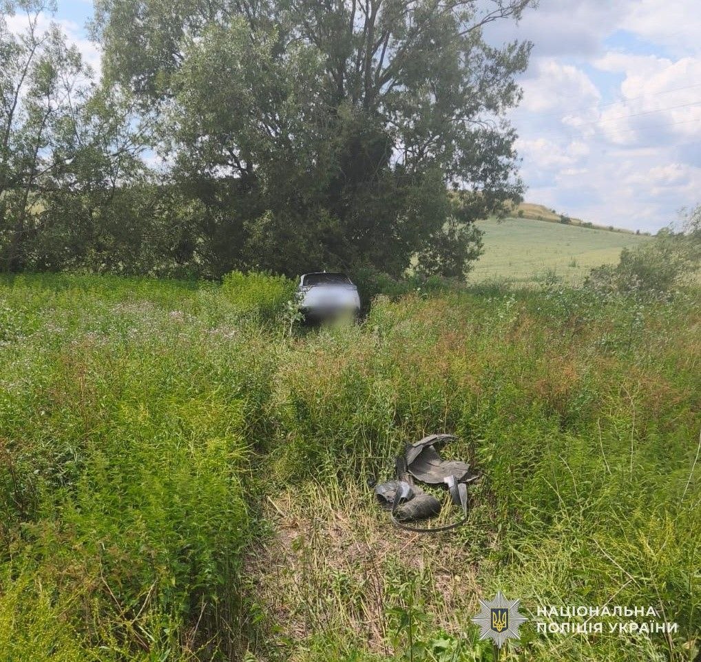 На Львівщині авто вилетіло у кущі: фото з місця