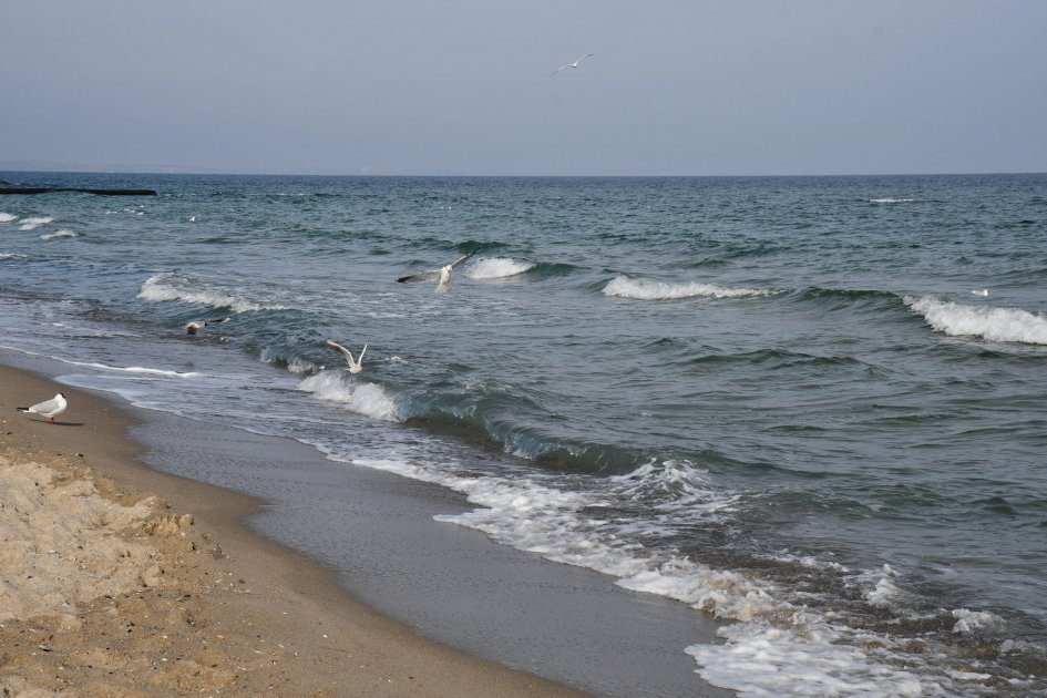 В Одесі заборонили купатися у морі. Небезпечно для здоров'я