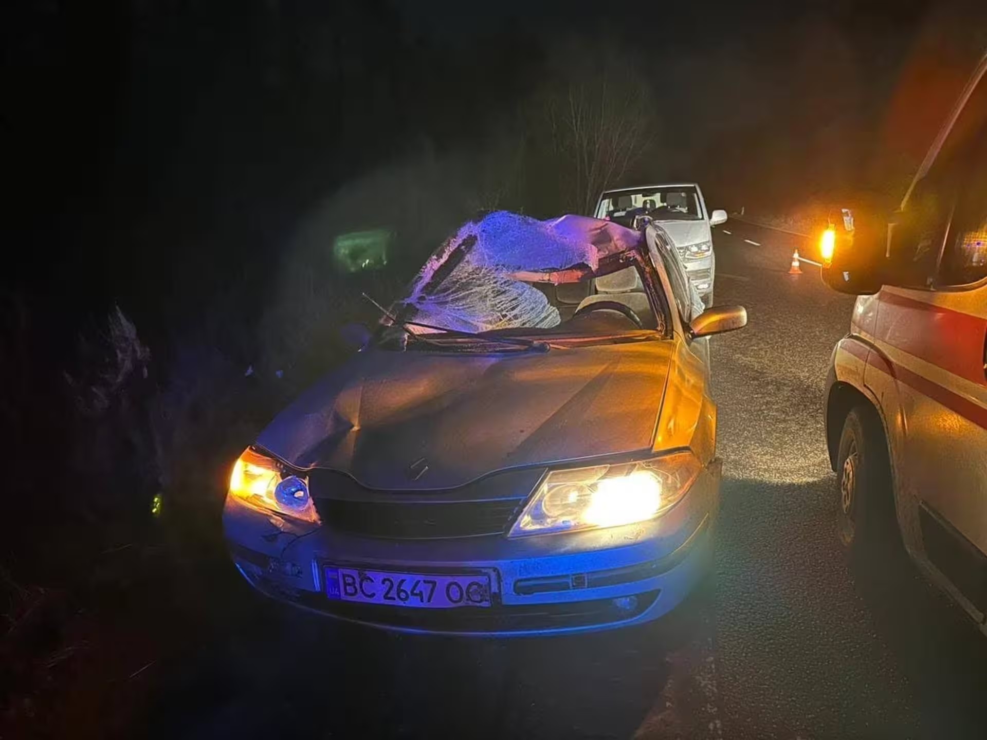 Вночі на Львівщині авто збило лося