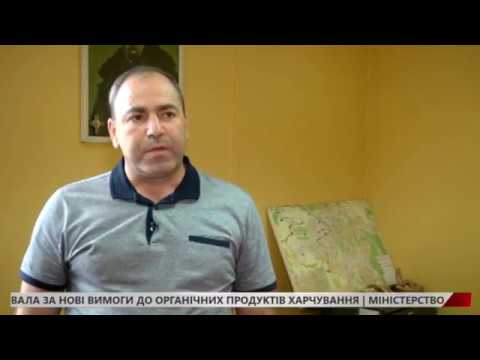 Представниця ромської національності пограбувала іноземця