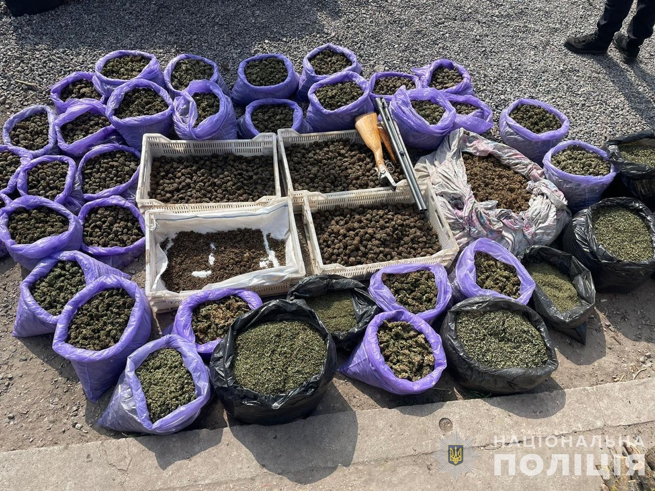 Операція у 19-ти регіонах. Нацполіція знешкодила масштабну мережу наркозбуту