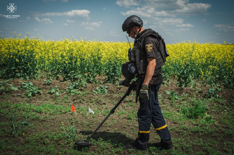 Повне розмінування України може зайняти майже... 800 років