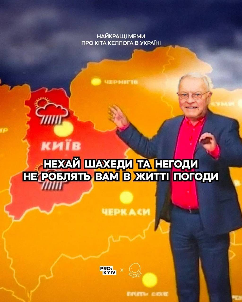 Кіт Келлог поїхав з України: мережа вибухає мамами (фото)