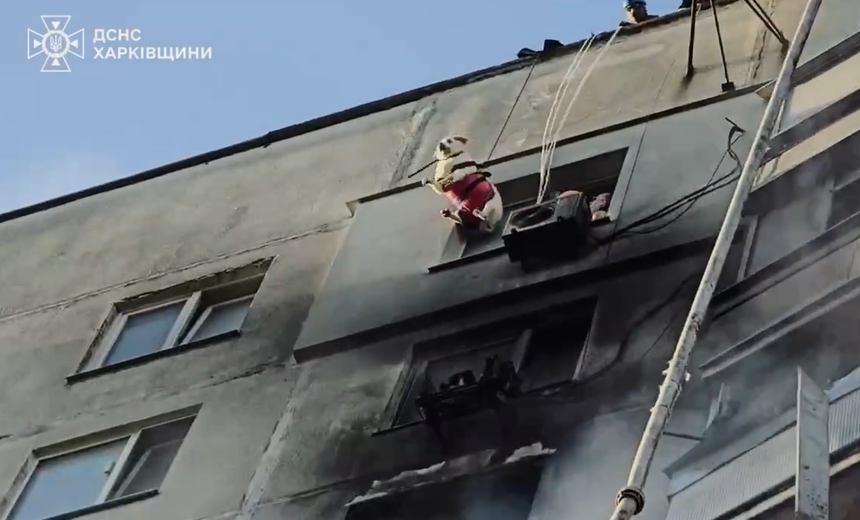 Операція з порятунку: ДСНС показали як евакуювали людей і тварин з 12-го поверху у Харкові