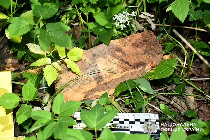 Вбивство на Тернопільщині: стали відомі страшні деталі (фото)