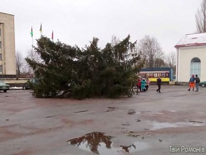 На свята із синцями. На Житомирщині ялинка впала разом із комунальником
