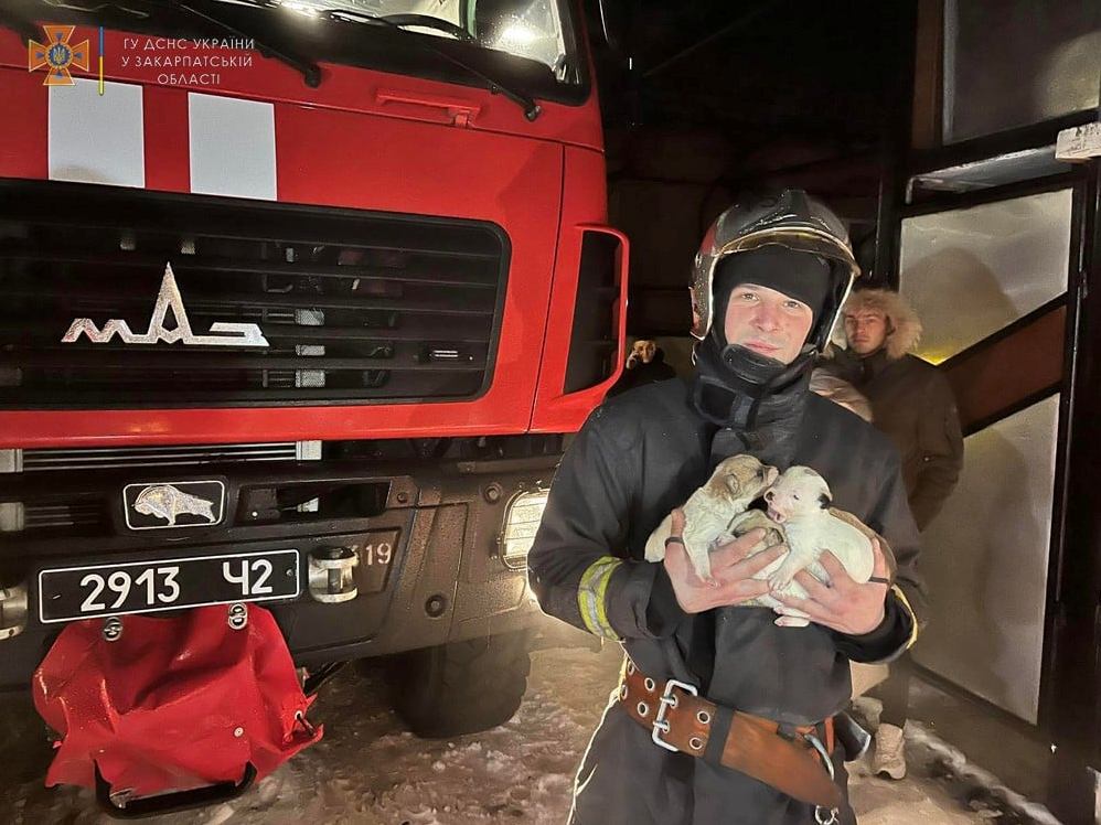 На Закарпатті рятувальники винесли з палаючого будинку чотирьох цуциків