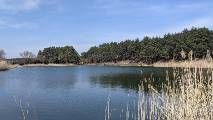 На Львівщині у ставку виявили тіло 58-річної жінки